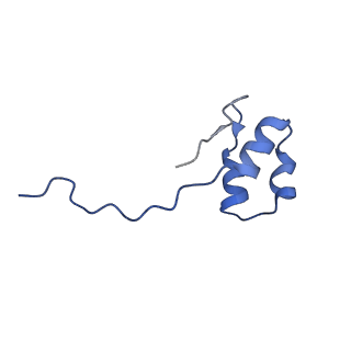 4889_6rid_J_v1-1
Structure of Vaccinia Virus DNA-dependent RNA polymerase elongation complex