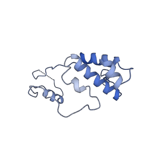 4889_6rid_S_v1-1
Structure of Vaccinia Virus DNA-dependent RNA polymerase elongation complex