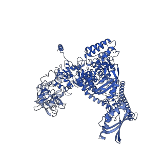 4890_6rie_A_v1-1
Structure of Vaccinia Virus DNA-dependent RNA polymerase co-transcriptional capping complex