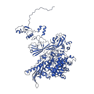 4890_6rie_B_v1-1
Structure of Vaccinia Virus DNA-dependent RNA polymerase co-transcriptional capping complex