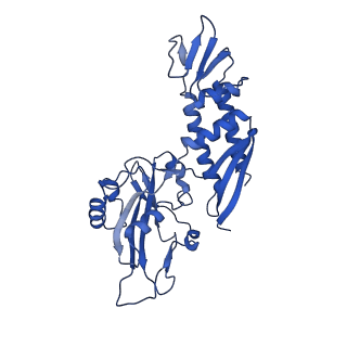4890_6rie_C_v1-1
Structure of Vaccinia Virus DNA-dependent RNA polymerase co-transcriptional capping complex