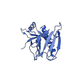 4890_6rie_E_v1-1
Structure of Vaccinia Virus DNA-dependent RNA polymerase co-transcriptional capping complex