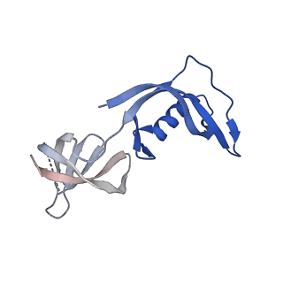 4890_6rie_G_v1-1
Structure of Vaccinia Virus DNA-dependent RNA polymerase co-transcriptional capping complex