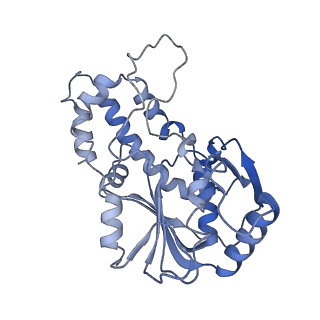 4890_6rie_L_v1-1
Structure of Vaccinia Virus DNA-dependent RNA polymerase co-transcriptional capping complex