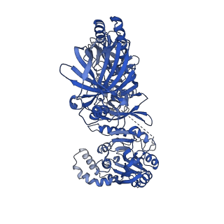 4890_6rie_O_v1-1
Structure of Vaccinia Virus DNA-dependent RNA polymerase co-transcriptional capping complex