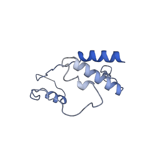 4890_6rie_S_v1-1
Structure of Vaccinia Virus DNA-dependent RNA polymerase co-transcriptional capping complex