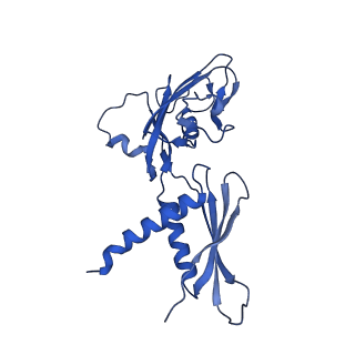 4892_6rin_A_v1-2
Cryo-EM structure of E. coli RNA polymerase backtracked elongation complex bound to GreB transcription factor