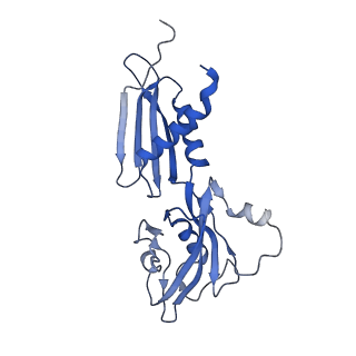 4892_6rin_B_v1-2
Cryo-EM structure of E. coli RNA polymerase backtracked elongation complex bound to GreB transcription factor