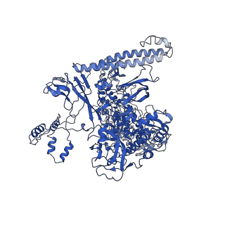 4892_6rin_C_v1-2
Cryo-EM structure of E. coli RNA polymerase backtracked elongation complex bound to GreB transcription factor