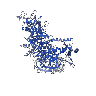 4892_6rin_D_v1-2
Cryo-EM structure of E. coli RNA polymerase backtracked elongation complex bound to GreB transcription factor