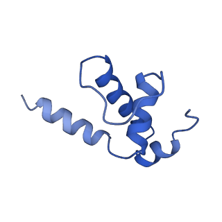 4892_6rin_E_v1-2
Cryo-EM structure of E. coli RNA polymerase backtracked elongation complex bound to GreB transcription factor