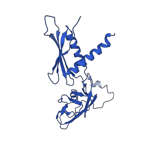 4893_6rip_A_v1-2
Cryo-EM structure of E. coli RNA polymerase backtracked elongation complex in swiveled state