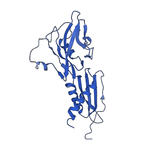 4893_6rip_B_v1-2
Cryo-EM structure of E. coli RNA polymerase backtracked elongation complex in swiveled state