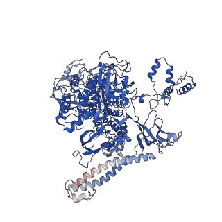 4893_6rip_C_v1-2
Cryo-EM structure of E. coli RNA polymerase backtracked elongation complex in swiveled state
