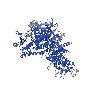 4893_6rip_D_v1-2
Cryo-EM structure of E. coli RNA polymerase backtracked elongation complex in swiveled state