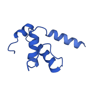 4893_6rip_E_v1-2
Cryo-EM structure of E. coli RNA polymerase backtracked elongation complex in swiveled state