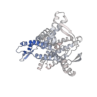 19195_8rjb_1_v1-0
Structure of the rabbit 80S ribosome stalled on a 2-TMD rhodopsin intermediate in complex with Sec61-RAMP4
