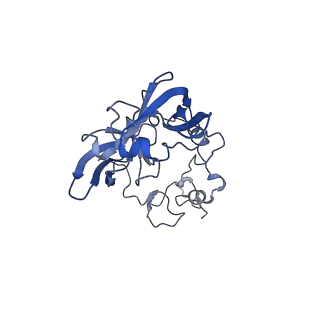 19195_8rjb_A_v1-0
Structure of the rabbit 80S ribosome stalled on a 2-TMD rhodopsin intermediate in complex with Sec61-RAMP4