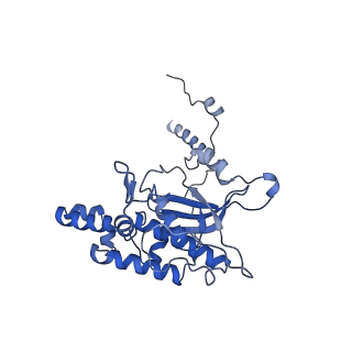 19195_8rjb_D_v1-0
Structure of the rabbit 80S ribosome stalled on a 2-TMD rhodopsin intermediate in complex with Sec61-RAMP4