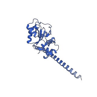 19195_8rjb_F_v1-0
Structure of the rabbit 80S ribosome stalled on a 2-TMD rhodopsin intermediate in complex with Sec61-RAMP4