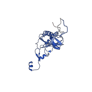 19195_8rjb_I_v1-0
Structure of the rabbit 80S ribosome stalled on a 2-TMD rhodopsin intermediate in complex with Sec61-RAMP4