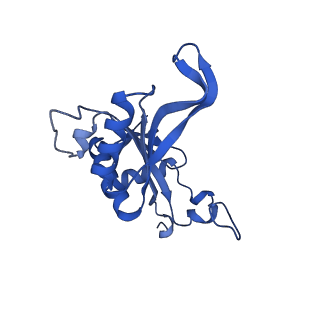 19195_8rjb_J_v1-0
Structure of the rabbit 80S ribosome stalled on a 2-TMD rhodopsin intermediate in complex with Sec61-RAMP4