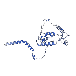 19195_8rjb_L_v1-0
Structure of the rabbit 80S ribosome stalled on a 2-TMD rhodopsin intermediate in complex with Sec61-RAMP4