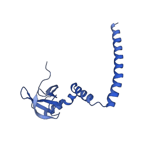 19195_8rjb_M_v1-0
Structure of the rabbit 80S ribosome stalled on a 2-TMD rhodopsin intermediate in complex with Sec61-RAMP4