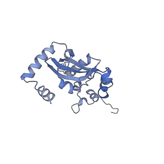 19195_8rjb_N_v1-0
Structure of the rabbit 80S ribosome stalled on a 2-TMD rhodopsin intermediate in complex with Sec61-RAMP4