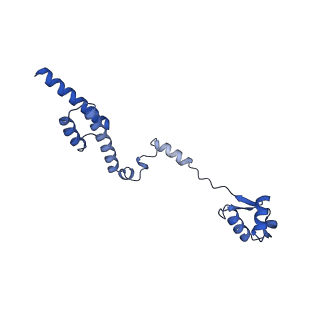 19195_8rjb_R_v1-0
Structure of the rabbit 80S ribosome stalled on a 2-TMD rhodopsin intermediate in complex with Sec61-RAMP4