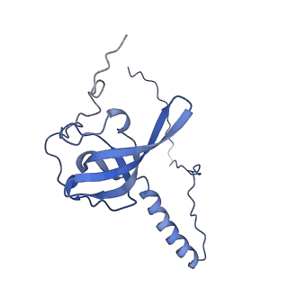 19195_8rjb_T_v1-0
Structure of the rabbit 80S ribosome stalled on a 2-TMD rhodopsin intermediate in complex with Sec61-RAMP4