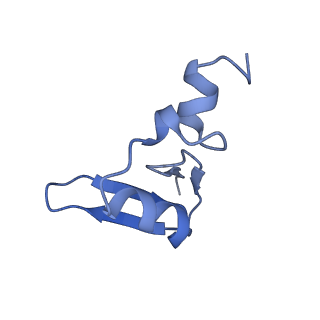 19195_8rjb_W_v1-0
Structure of the rabbit 80S ribosome stalled on a 2-TMD rhodopsin intermediate in complex with Sec61-RAMP4