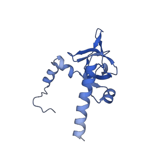19195_8rjb_Y_v1-0
Structure of the rabbit 80S ribosome stalled on a 2-TMD rhodopsin intermediate in complex with Sec61-RAMP4