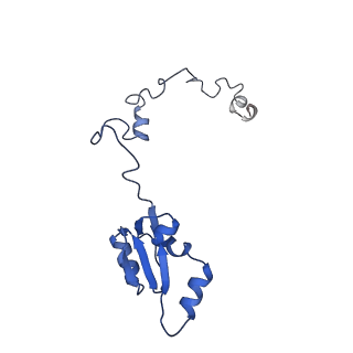 19195_8rjb_a_v1-0
Structure of the rabbit 80S ribosome stalled on a 2-TMD rhodopsin intermediate in complex with Sec61-RAMP4