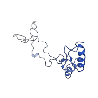 19195_8rjb_e_v1-0
Structure of the rabbit 80S ribosome stalled on a 2-TMD rhodopsin intermediate in complex with Sec61-RAMP4
