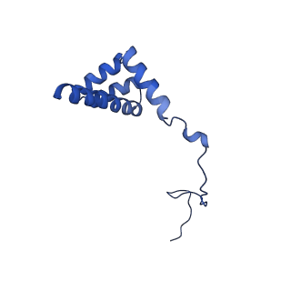 19195_8rjb_i_v1-0
Structure of the rabbit 80S ribosome stalled on a 2-TMD rhodopsin intermediate in complex with Sec61-RAMP4