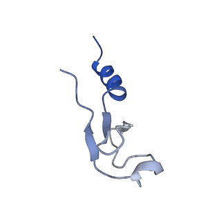19195_8rjb_m_v1-0
Structure of the rabbit 80S ribosome stalled on a 2-TMD rhodopsin intermediate in complex with Sec61-RAMP4