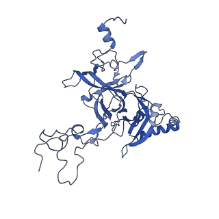 19195_8rjb_w_v1-0
Structure of the rabbit 80S ribosome stalled on a 2-TMD rhodopsin intermediate in complex with Sec61-RAMP4