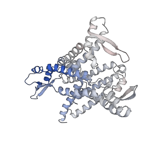 19197_8rjc_1_v1-0
Structure of the rabbit 80S ribosome stalled on a 2-TMD rhodopsin intermediate in complex with Sec61-TRAP, open conformation 1