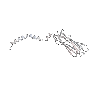 19197_8rjc_6_v1-0
Structure of the rabbit 80S ribosome stalled on a 2-TMD rhodopsin intermediate in complex with Sec61-TRAP, open conformation 1