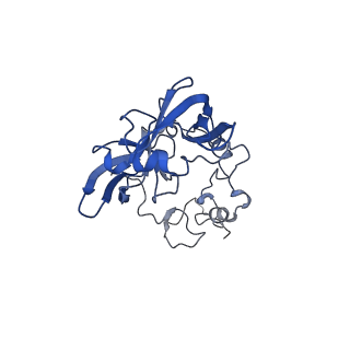 19197_8rjc_A_v1-0
Structure of the rabbit 80S ribosome stalled on a 2-TMD rhodopsin intermediate in complex with Sec61-TRAP, open conformation 1