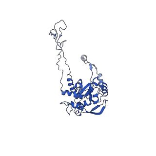 19197_8rjc_C_v1-0
Structure of the rabbit 80S ribosome stalled on a 2-TMD rhodopsin intermediate in complex with Sec61-TRAP, open conformation 1