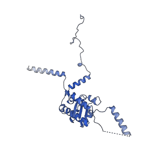 19197_8rjc_G_v1-0
Structure of the rabbit 80S ribosome stalled on a 2-TMD rhodopsin intermediate in complex with Sec61-TRAP, open conformation 1