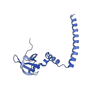19197_8rjc_M_v1-0
Structure of the rabbit 80S ribosome stalled on a 2-TMD rhodopsin intermediate in complex with Sec61-TRAP, open conformation 1
