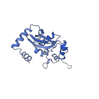 19197_8rjc_N_v1-0
Structure of the rabbit 80S ribosome stalled on a 2-TMD rhodopsin intermediate in complex with Sec61-TRAP, open conformation 1