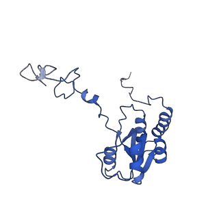 19197_8rjc_Q_v1-0
Structure of the rabbit 80S ribosome stalled on a 2-TMD rhodopsin intermediate in complex with Sec61-TRAP, open conformation 1
