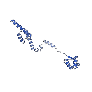 19197_8rjc_R_v1-0
Structure of the rabbit 80S ribosome stalled on a 2-TMD rhodopsin intermediate in complex with Sec61-TRAP, open conformation 1