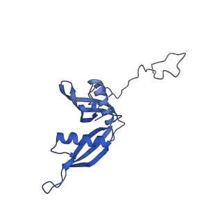19197_8rjc_S_v1-0
Structure of the rabbit 80S ribosome stalled on a 2-TMD rhodopsin intermediate in complex with Sec61-TRAP, open conformation 1