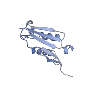 19197_8rjc_U_v1-0
Structure of the rabbit 80S ribosome stalled on a 2-TMD rhodopsin intermediate in complex with Sec61-TRAP, open conformation 1