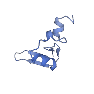 19197_8rjc_W_v1-0
Structure of the rabbit 80S ribosome stalled on a 2-TMD rhodopsin intermediate in complex with Sec61-TRAP, open conformation 1
